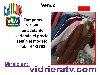 Camperas Vender Indumentaria - equipamiento - camping