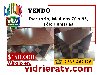 Escritorio, Medidas 70 x 95, sólo llamadas Vender Muebles